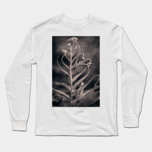 Tangled Long Sleeve T-Shirt